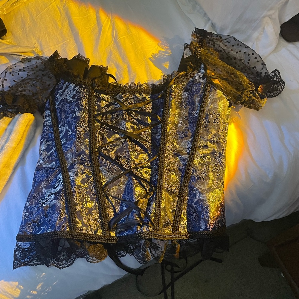 Dark blue corset with silver dragons and silver flowers for embroidery